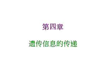 第二章孟德尔遗传规律课件.ppt