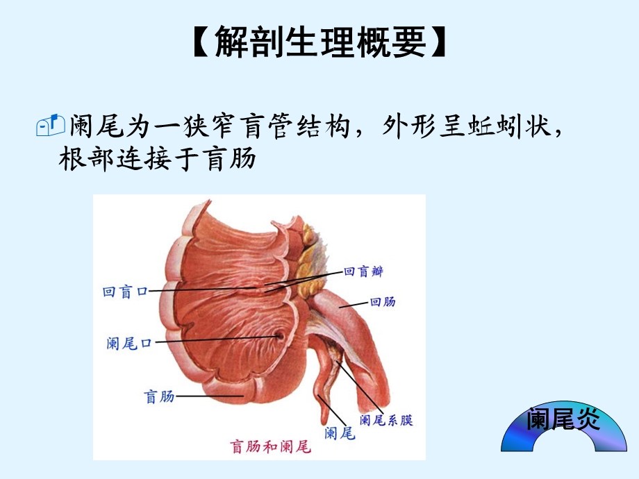 急性阑尾炎患者的护理课件.pptx_第2页