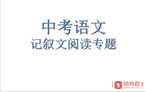 中考语文记叙文阅读(吐血整理 十分实用)ppt课件.ppt