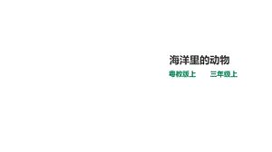 粤教版科学三上《海洋里的动物》课件.ppt