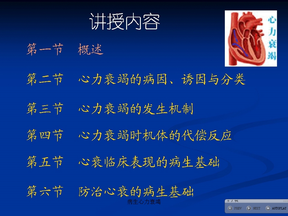 病生心力衰竭课件.ppt_第2页