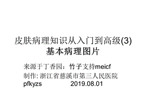 皮肤病理知识从入门到高级课件.ppt