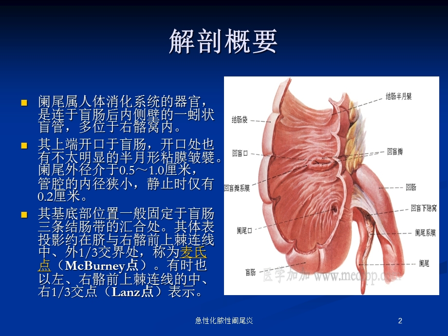 急性化脓性阑尾炎培训课件.ppt_第2页