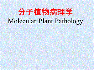 分子植物病理学ppt课件.ppt