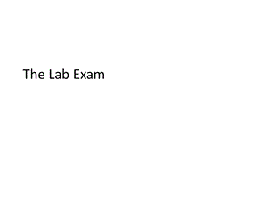 病理实验模拟考：留学生实验考试课件.ppt