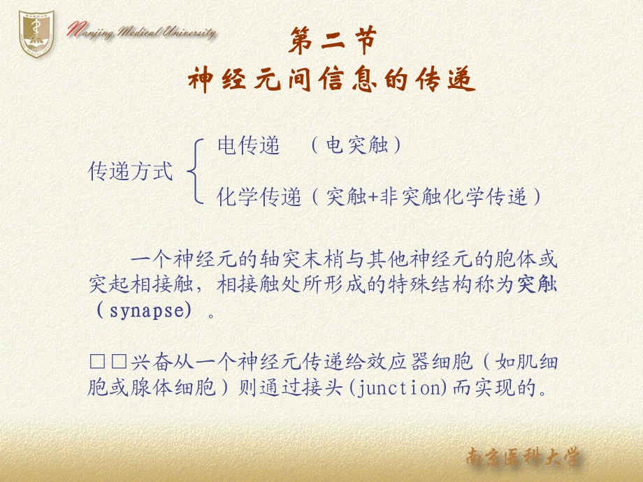 神经生物学——突触课件.ppt_第2页