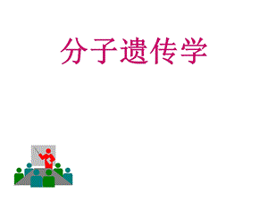 分子遗传学第一章 遗传物质ppt课件.ppt