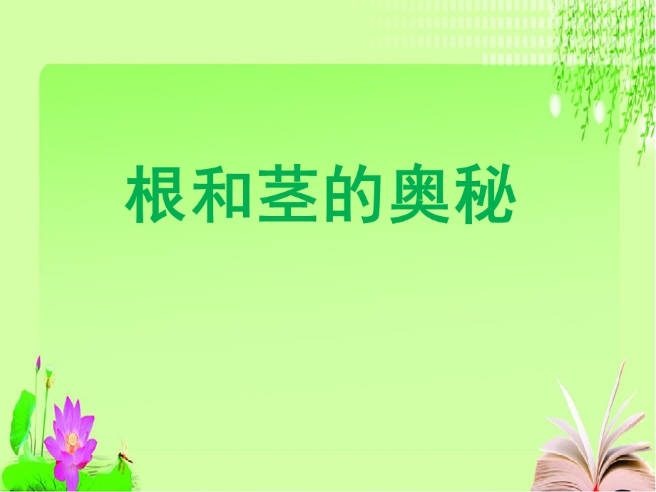 小学科学湘科版四年级上册高效课堂《根和茎的奥秘》课件.pptx_第3页