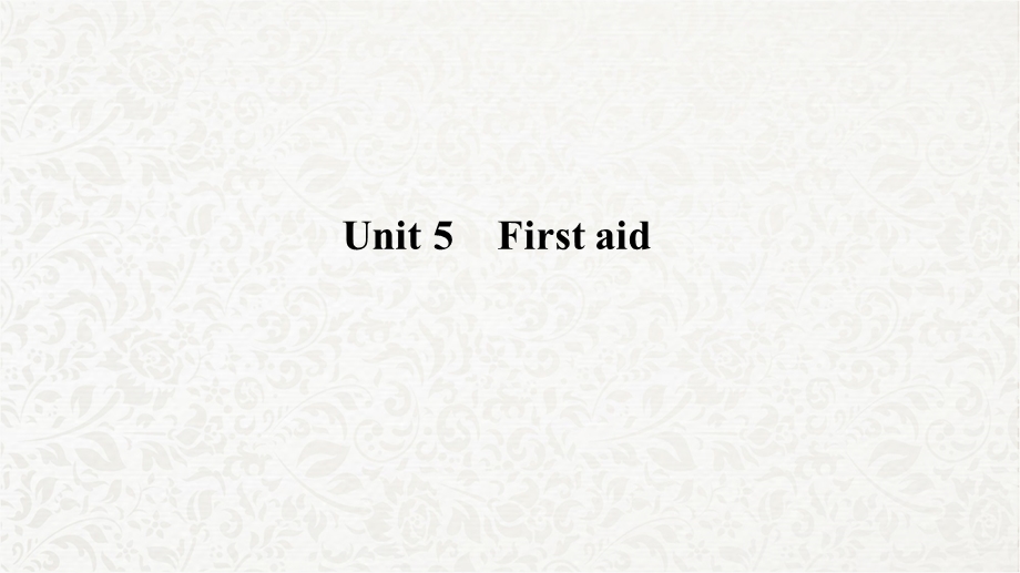 高三英语一轮复习优质课件：Unit5Firstaid.ppt_第1页