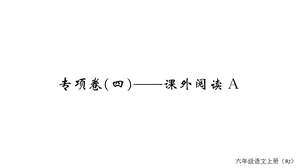 部编版六年级上册语文期末专项卷(四)课外阅读课件.ppt