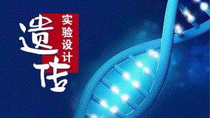 高三生物复习课件：遗传实验分析与设计(共17张).pptx