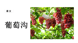 部编版二年级语文上册(第三册)《葡萄沟》教学课件.ppt