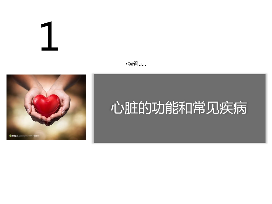 运动营养与健身课件.ppt_第3页