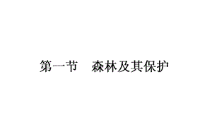 高二地理选修六《森林及其保护》课件.ppt