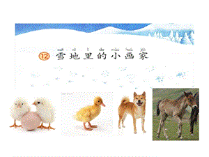 部编本人教版语文一年级上册《雪地里的小画家》公开课课件.pptx