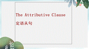 陕西中考英语专题复习定语从句课件.ppt