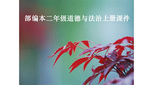 部编本二年级上册道德与法治2周末巧安排课件(共28张)课件.ppt