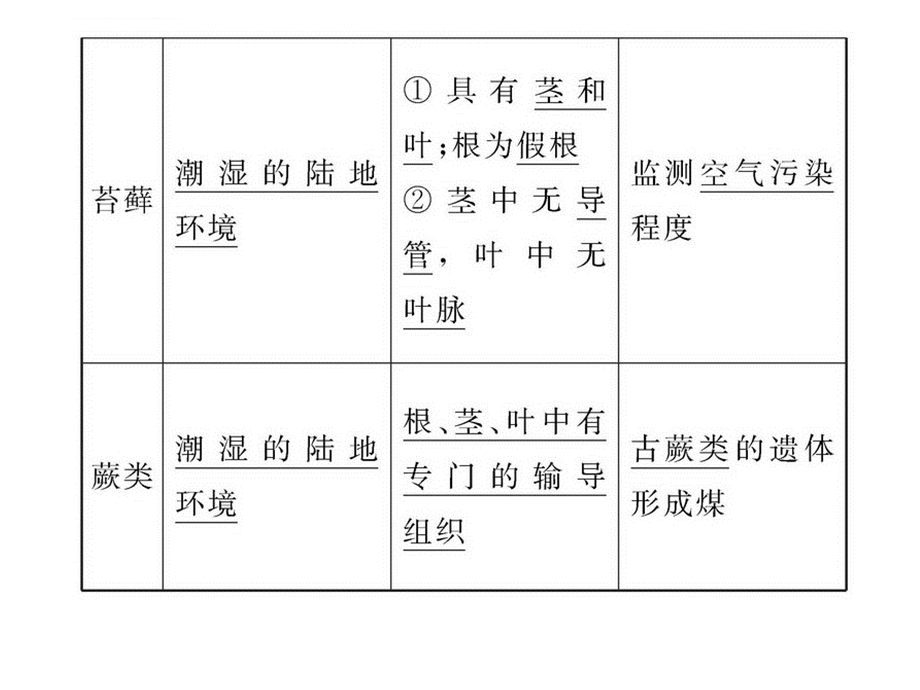 初中生物——被子植物的一生ppt课件.ppt_第2页