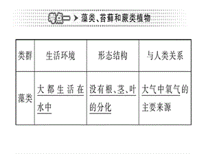 初中生物——被子植物的一生ppt课件.ppt