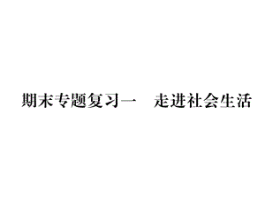 部编版八年级道德与法治上册期末专题复习一走进社会生活(共20张)课件.ppt