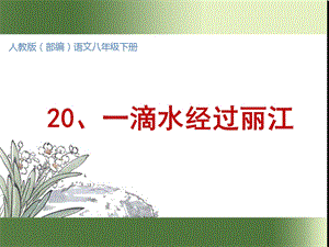 部编语文八年级下册20一滴水经过丽江(精质课件).ppt