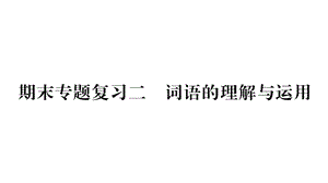 部编版人教版九年级语文下册期末复习专题2课件.pptx