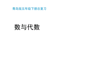 青岛版(六三制)五年级数学下册《总复习—数与代数》练习课件.pptx