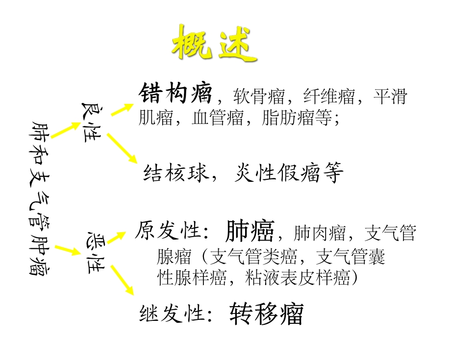 肺和支气管肿瘤课件.ppt_第3页