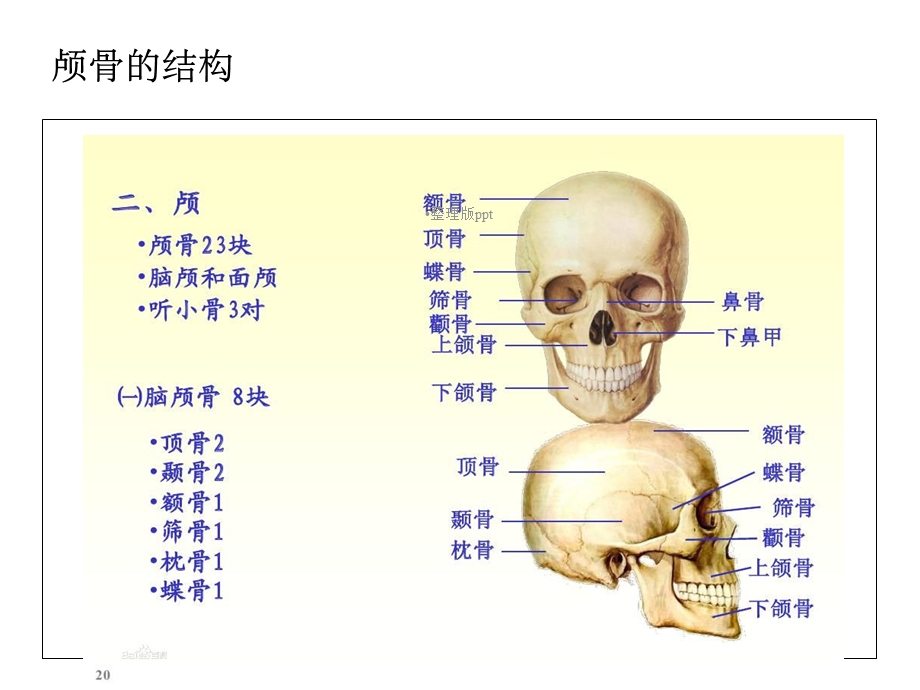 颅底骨折护理查房课件.ppt_第3页