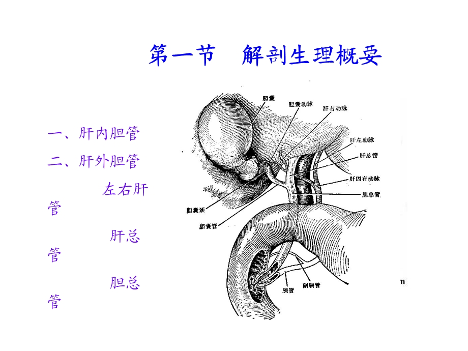 胆道疾病的护理课件.ppt_第3页