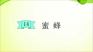 部编版三下语文14蜜蜂课件.ppt