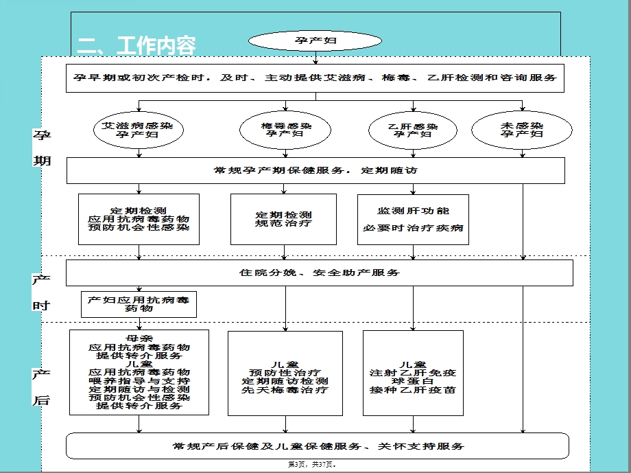 预防艾滋病梅毒和乙肝母婴传播干预服务技术(共37张)课件.pptx_第3页