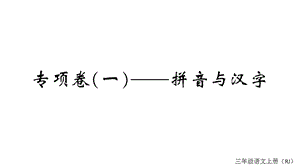 部编版三年级上册语文期末专项卷(一)拼音与汉字课件.ppt