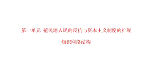 部编教材九年级下册历史知识网络结构课件.pptx