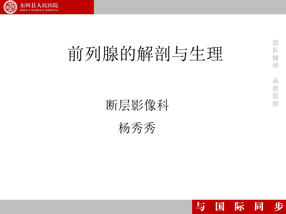 前列腺的解剖和生理ppt课件.ppt_第1页