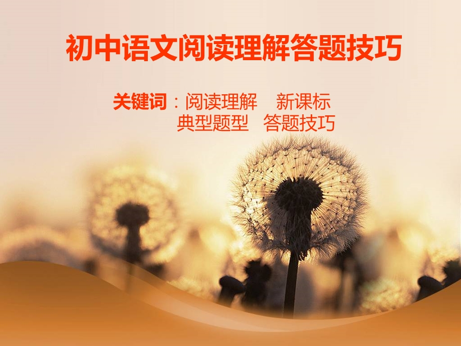 初中语文阅读理解答题技巧(闫)ppt课件.ppt_第1页