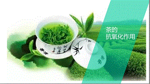 茶的抗氧化作用课件.pptx