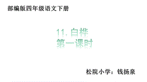 部编版11白桦课件(四年级语文下册).pptx