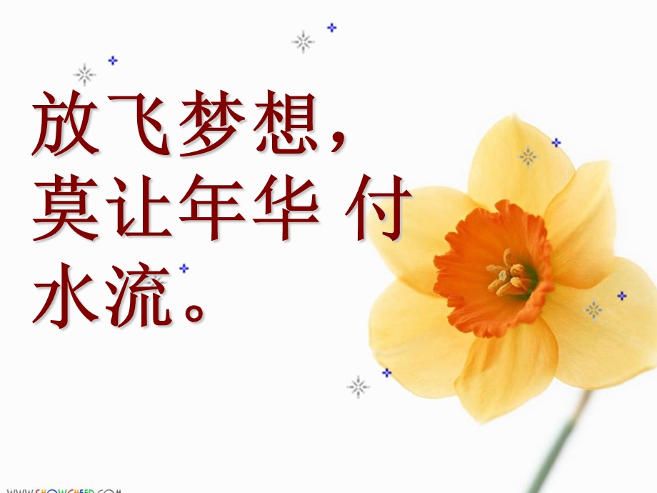 初一158班期中考试总结班会ppt课件.ppt_第2页