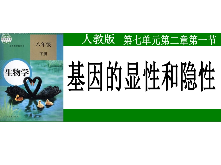 课堂评价案例基因的显性和隐性课件.ppt_第2页