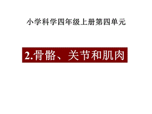 骨骼、关节和肌肉课件.ppt