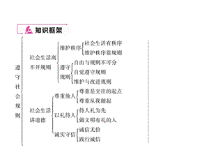 部编版八年级道德与法治上册期末专题复习二遵守社会规则(共20张)课件.ppt