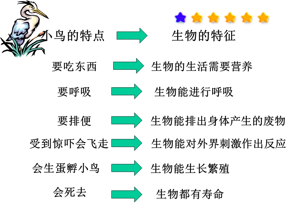 调查周围环境中的生物(张)课件.ppt_第2页