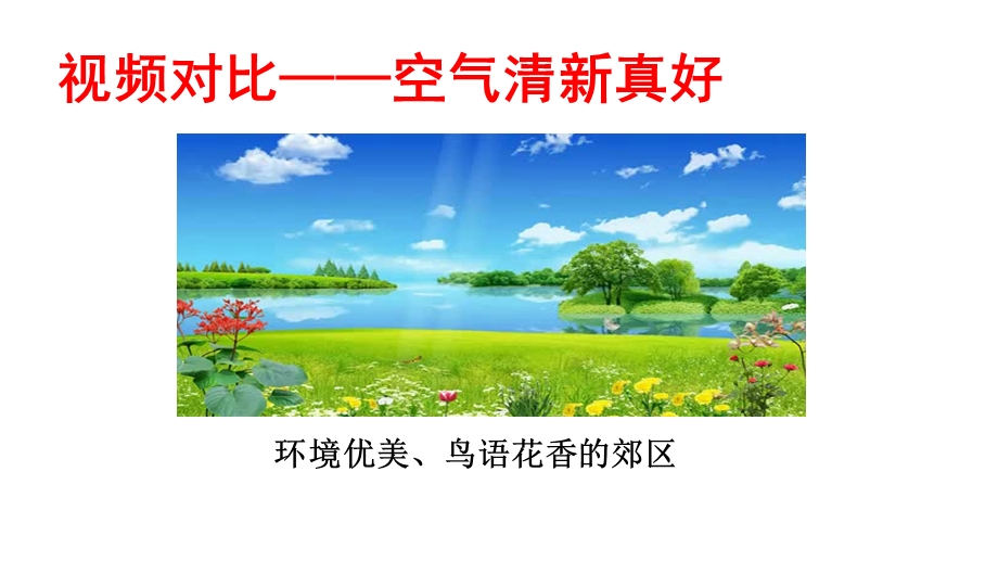 部编人教版二年级道德与法治下册第3单元绿色小卫士【全单元】优质课件.pptx_第3页