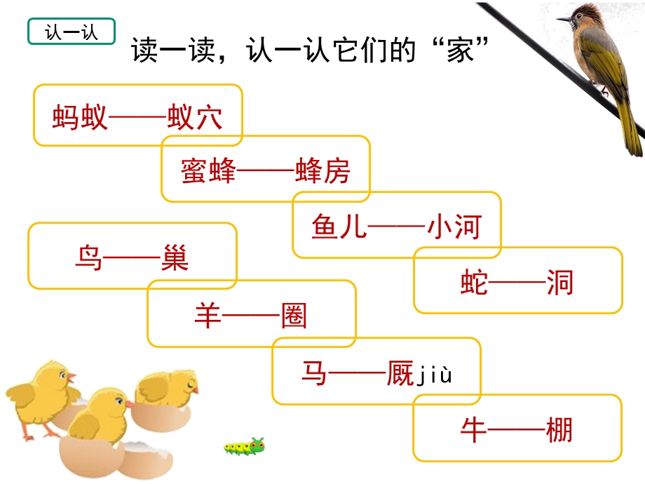 部编版四上第8课《蝴蝶的家》2020版课件.pptx_第1页