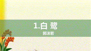 部编版五年级语文上册第1课《白鹭》课件.pptx