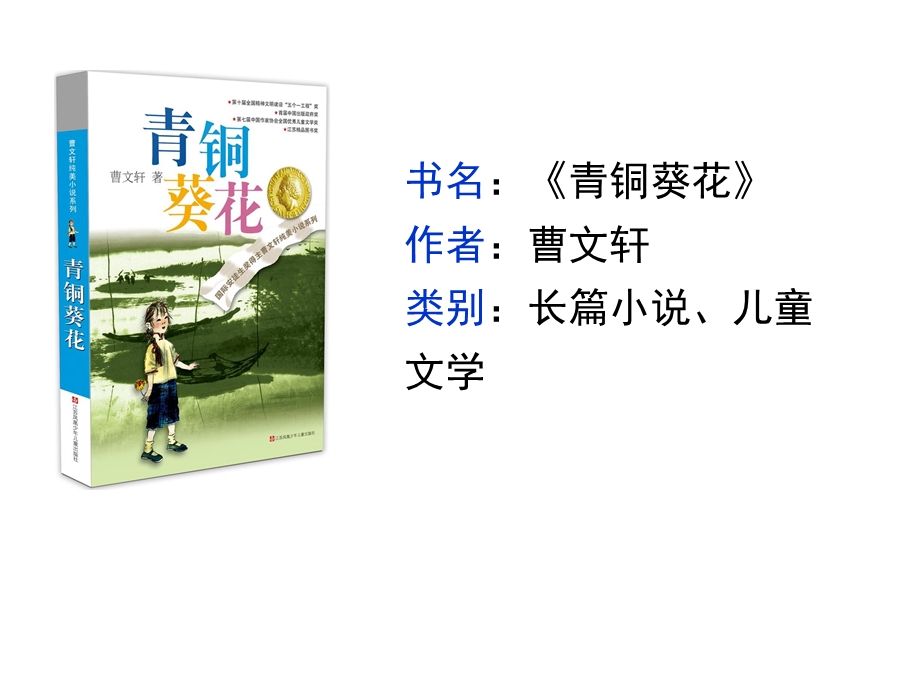 部编四下语文第21课《芦花鞋》2021版课件.pptx_第1页