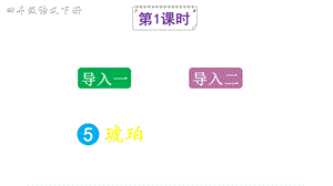 部编版四年级语文下册课件5琥珀.ppt