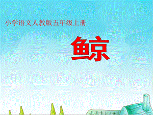 部编版小学语文五年级上册《鲸》优质课课件.ppt