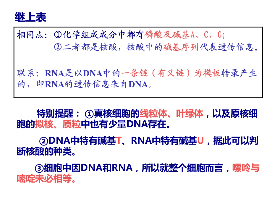 高三复习基因指导蛋白质的合成幻灯片课件.ppt_第3页